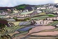 Terraced rice field in water season Royalty Free Stock Photo