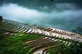 Terraced rice field in water season, the time before starting grow rice, with clouds on background in Y Ty, Lao Cai province, Viet