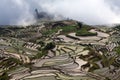 Terraced rice field in water season in Yuanyang, China Royalty Free Stock Photo