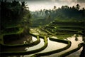 Terraced rice fields in Bali, Indonesia. Vintage style