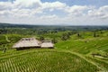 Terraced Rice Fields in Bali