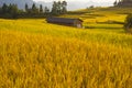 Terraced rice fields & Chinses house