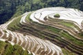 Terraced rice fields in Guilin, Longshan Royalty Free Stock Photo