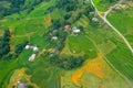 Terraced rice fields in harvest season, Muong Hoa Valley, Sappa, Northern Vietnam. Royalty Free Stock Photo