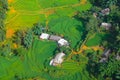 Terraced Rice Fields In Harvest Season, Muong Hoa Valley, Sappa, Northern Vietnam.