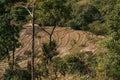 Terraced rice fields on a hillside