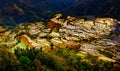 Terraced rice fields in Laohuzui Yuanyang