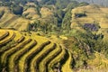 Terraced rice fields near Guilin, Guangxi Royalty Free Stock Photo