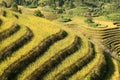 Terraced rice fields near Guilin, Guangxi Royalty Free Stock Photo