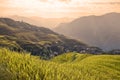 Terraced rice fields near Guilin, Guangxi Royalty Free Stock Photo