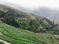 terraced rice fields near view point in rain Royalty Free Stock Photo