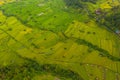 Terraced rice fields with small rural farms in Bali, Indonesia Top down overhead aerial birds eye view of lush green