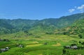 Terraced rice fields and traditional houses of the H`Mong ethnic people Royalty Free Stock Photo