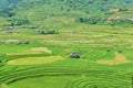 Terraced rice fields and traditional houses of the H`Mong ethnic people Royalty Free Stock Photo