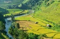 Terraced rice fields and traditional houses of the H`Mong ethnic people Royalty Free Stock Photo