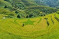 Terraced rice fields and traditional houses of the H`Mong ethnic people Royalty Free Stock Photo