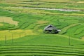 Terraced rice fields and traditional houses of the H`Mong ethnic people Royalty Free Stock Photo