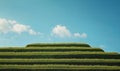 Terraced rice fields under blue sky, lush green grass, layered landscape, vibrant clouds Royalty Free Stock Photo