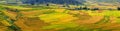 Terraced rice fields in Vietnam Royalty Free Stock Photo