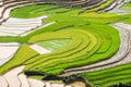 Terraced rice fields in Vietnam