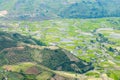 Terraced rice fields in Vietnam