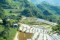 Terraced rice fields in Vietnam