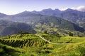 Terraced rice fields in Y ty, Sapa, Laocai, Vietnam prepare the harvest