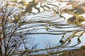 Terraced rice fields of YuanYang , China in the morning