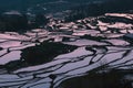 Terraced rice fields of YuanYang , China in the morning