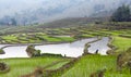 Terraced rice fields in Yuanyang county, Yunnan, China Royalty Free Stock Photo