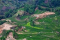 Terraced rice fields in Yuanyang county, Yunnan, China Royalty Free Stock Photo