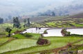 Terraced rice fields in Yuanyang county, Yunnan, China Royalty Free Stock Photo