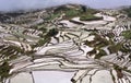 Terraced rice fields in Yuanyang county, Yunnan, China Royalty Free Stock Photo