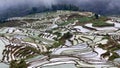 Terraced rice fields in Yuanyang county, Yunnan, China Royalty Free Stock Photo