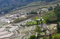 Terraced rice fields in Yuanyang, Yunnan, China Royalty Free Stock Photo