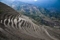 Terraced rice paddies