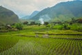 Ricefields of Sumatra Royalty Free Stock Photo