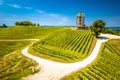 Terraced vineyard hill and viewpoint on Madjerkin Breg, Medjimurje Royalty Free Stock Photo