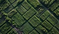 Terraced vineyard rows create stunning winemaking landscape generated by AI