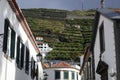 Terraces on the coast of Madeira