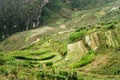 The terraces on the Van stone-plateau, Viet Nam Royalty Free Stock Photo