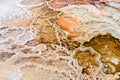 Terraces, Limestone and Rock Formations at Mammoth Hot Springs i Royalty Free Stock Photo