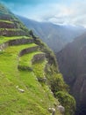 Terraces of Machu Picchu. Peru Royalty Free Stock Photo