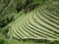 Terraces of Machu Picchu. Urubamba valley in Peru Royalty Free Stock Photo