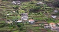 Terraces Madeira Royalty Free Stock Photo