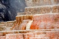 Terraces of Mammoth Springs