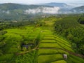 Terraces rice field - Top view rice field from above with agricultural parcels of different crops in green, Aerial view of the Royalty Free Stock Photo