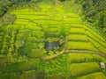 Terraces rice field - Top view rice field from above with agricultural parcels of different crops in green, Aerial view of the Royalty Free Stock Photo