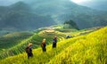 Terraces rice fields on mountain in Northwest of Vietnam