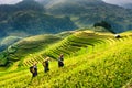 Terraces rice fields on mountain in Northwest of Vietnam